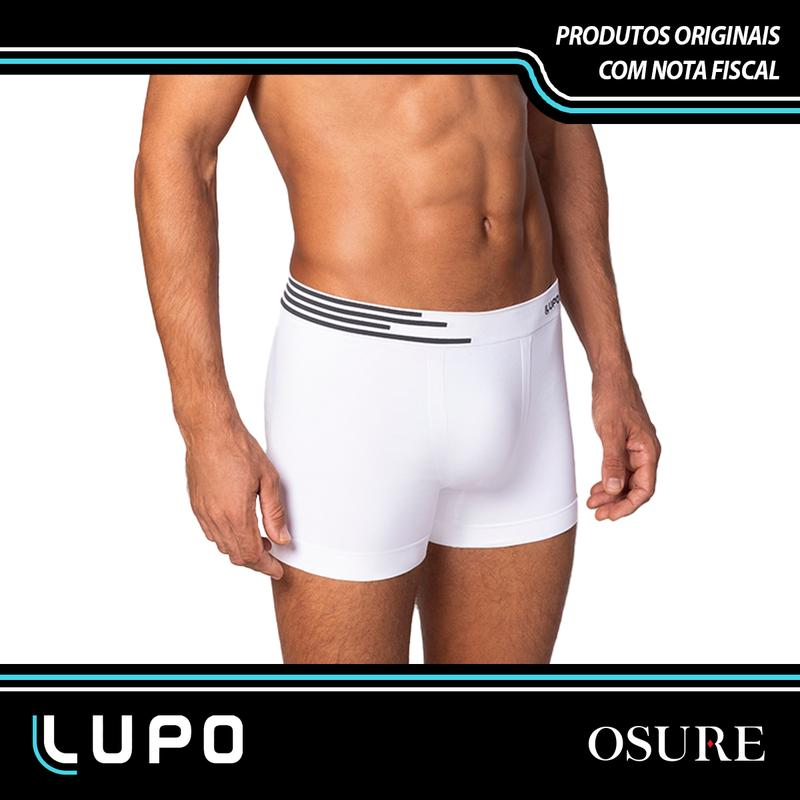 Vista frontal da boxer Lupo branca